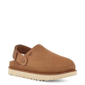 Home goldenstar clogs