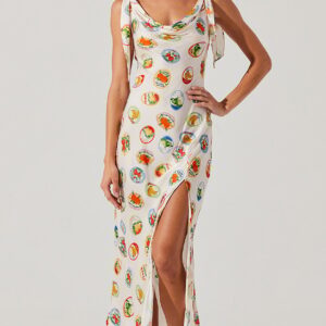allexina print dress