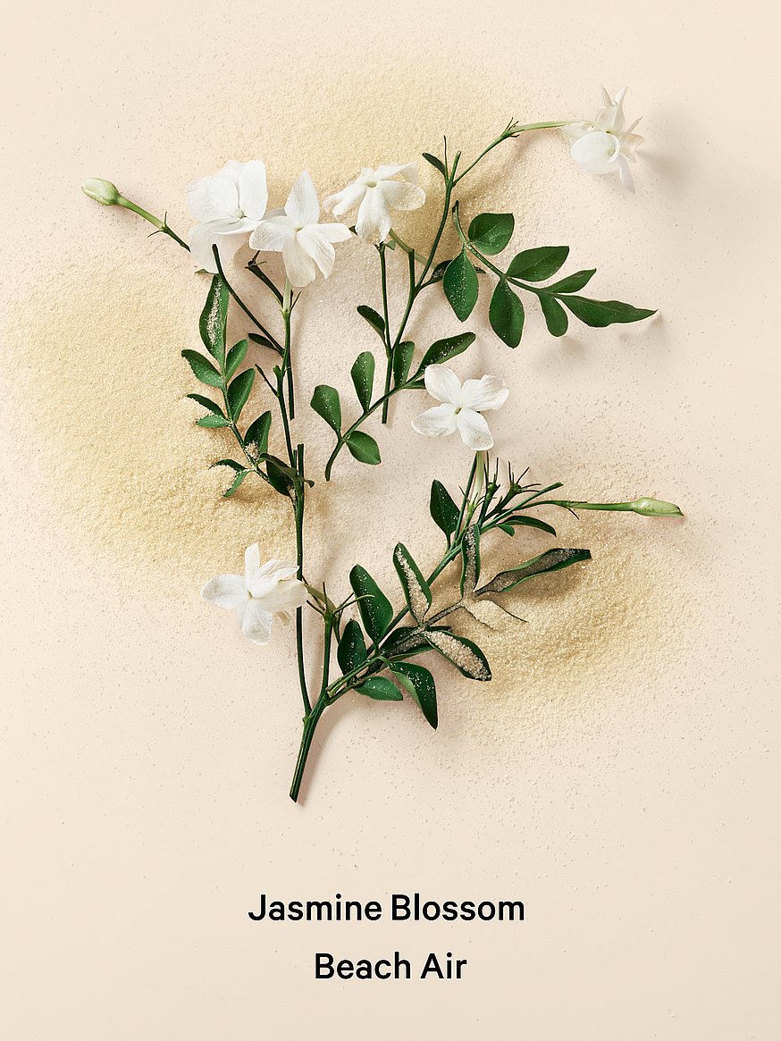 vacation fragrance mist vacation fragrance mist