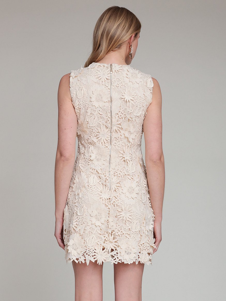 floral lace mini dress floral lace mini dress