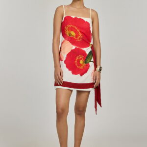 anela dress