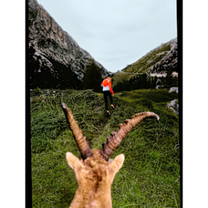 Витрина nike acg “ibex” Плакат 22 x 34 дюйма