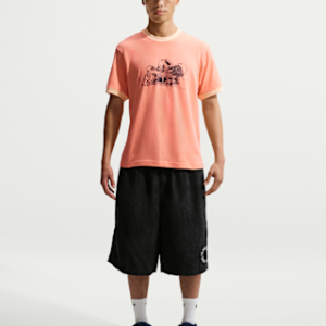 Витрина nike sb Вельветовые шорты для скейтбординга