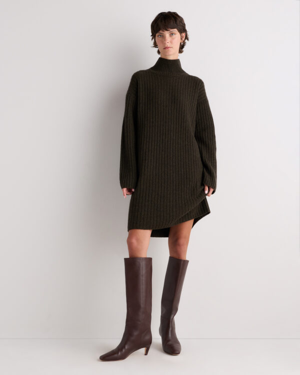 mongolian cashmere ribbed turtleneck mini dress
