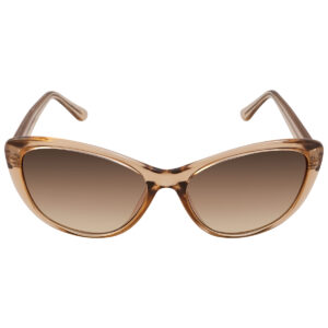 calvin klein brown gradient butterfly ladies sunglasses ck19560s 270 57