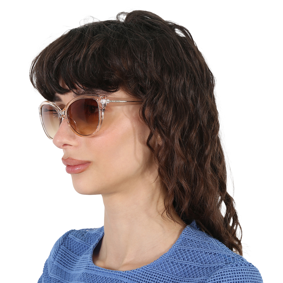 calvin klein brown gradient cat eye ladies sunglasses ck19536s 270 55 calvin klein brown gradient cat eye ladies sunglasses ck19536s 270 55