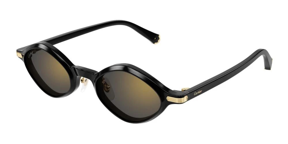 cartier grey multilayer geometric ladies sunglasses ct0540s 001 48 cartier grey multilayer geometric ladies sunglasses ct0540s 001 48