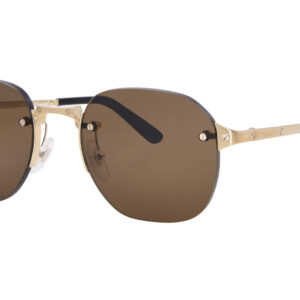 Home cartier santos de cartier brown round men's sunglasses ct0459s 006 53