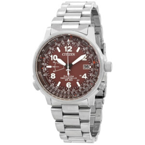 Витрина citizen perpetual world time watch cb0241 85x