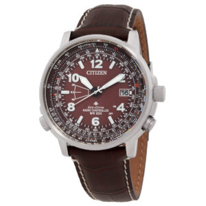 citizen promaster sky perpetual world time brown dial men's watch cb0248 01x