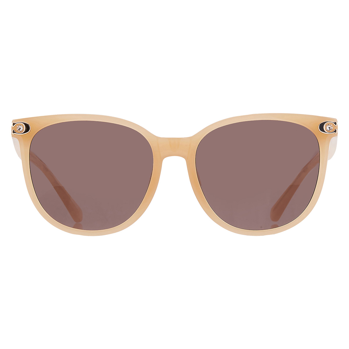 coach brown cat eye ladies sunglasses hc8414bd 585473 57 coach brown cat eye ladies sunglasses hc8414bd 585473 57