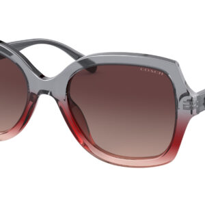 Home coach burgundy grey gradient butterfly ladies sunglasses hc8295 5620e2 56