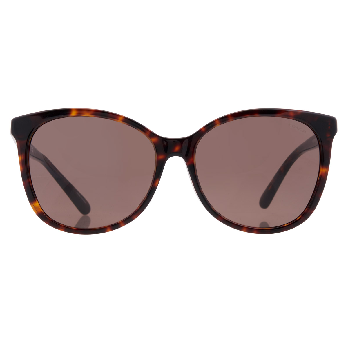 coach dark brown square ladies sunglasses hc8271u 512073 57 coach dark brown square ladies sunglasses hc8271u 512073 57