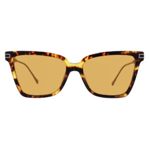 Home ferragamo brown butterfly ladies sunglasses sf2036s 242 56