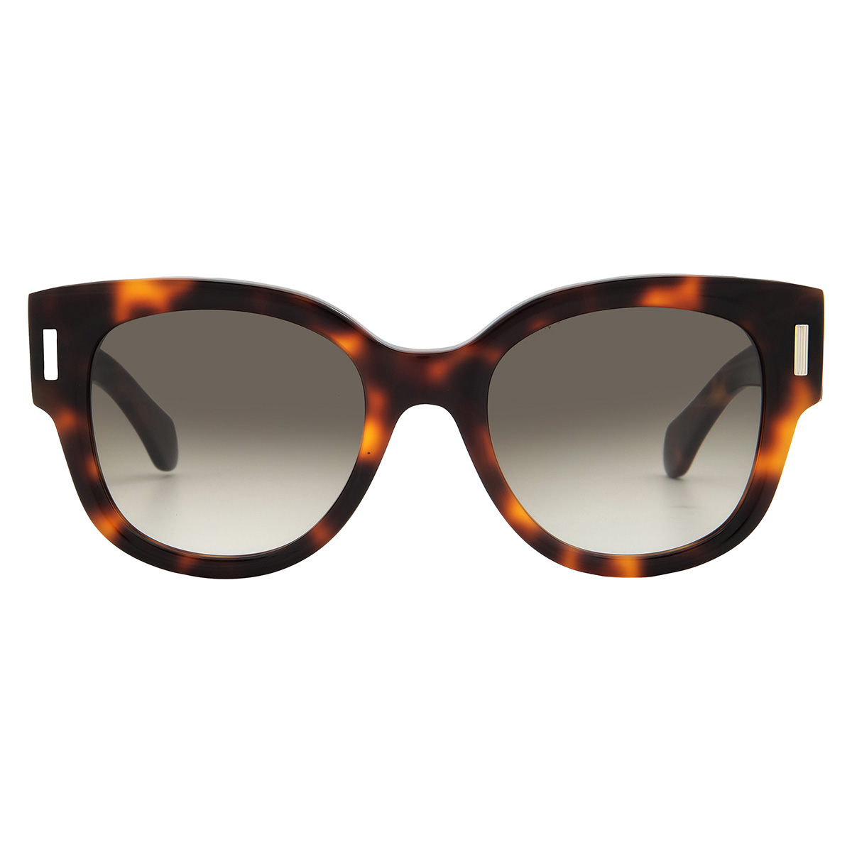 ferragamo brown gradient oval ladies sunglasses sf2007s 240 51 ferragamo brown gradient oval ladies sunglasses sf2007s 240 51
