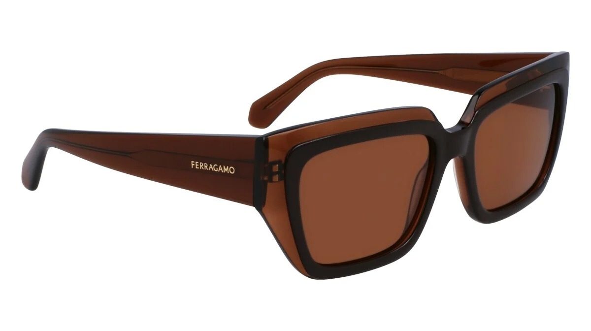 ferragamo brown square ladies sunglasses sf2002s 233 55 ferragamo brown square ladies sunglasses sf2002s 233 55