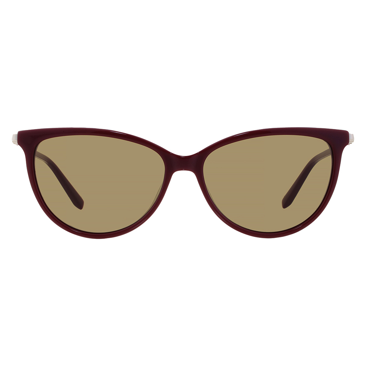 ferragamo green cat eye ladies sunglasses sf2870scp 604 55 ferragamo green cat eye ladies sunglasses sf2870scp 604 55
