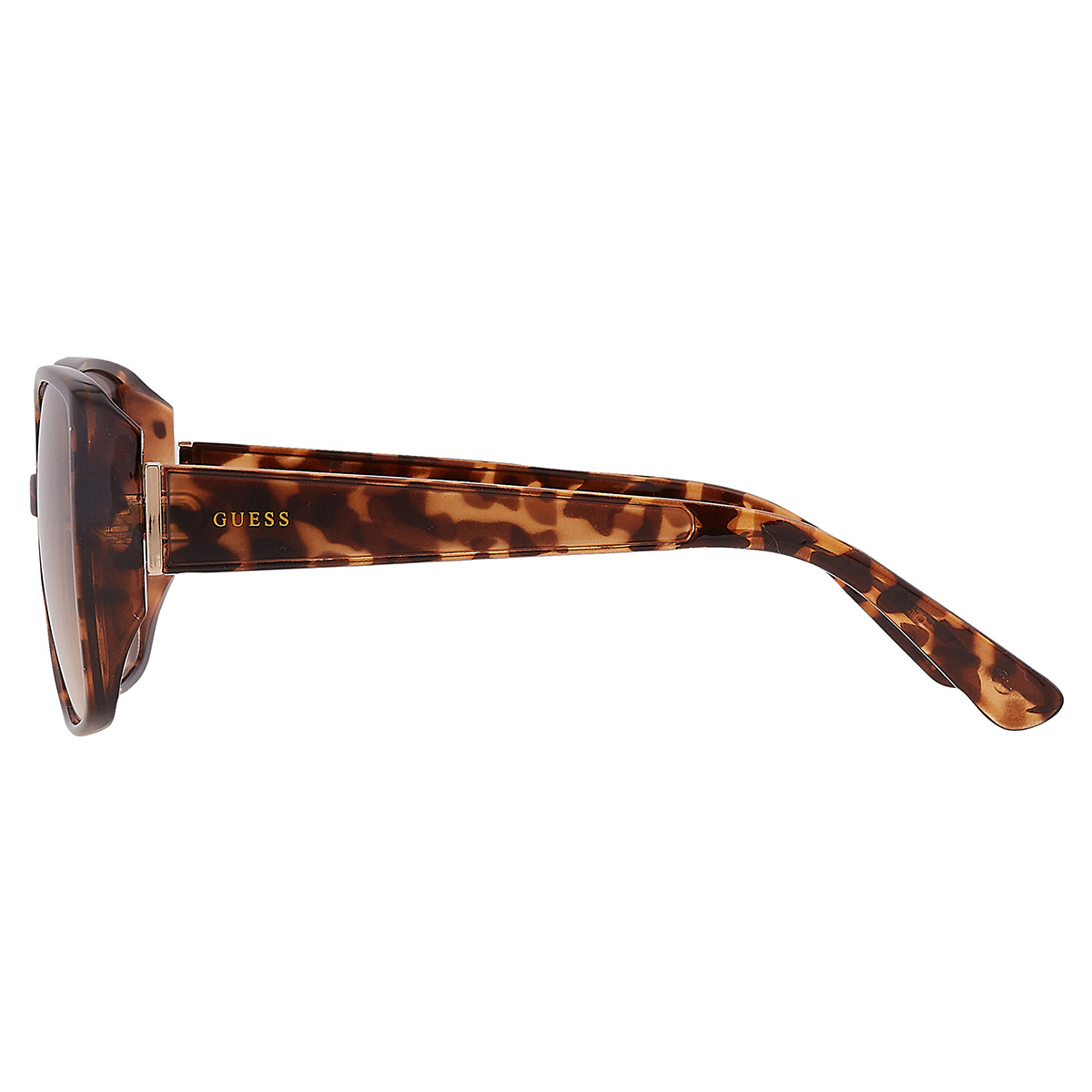 guess factory brown gradient butterfly ladies sunglasses gf0426 53f 61 guess factory brown gradient butterfly ladies sunglasses gf0426 53f 61