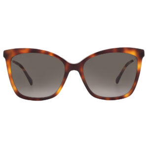 jimmy choo brown gradient butterfly ladies sunglasses maci/s 0086/ha 55