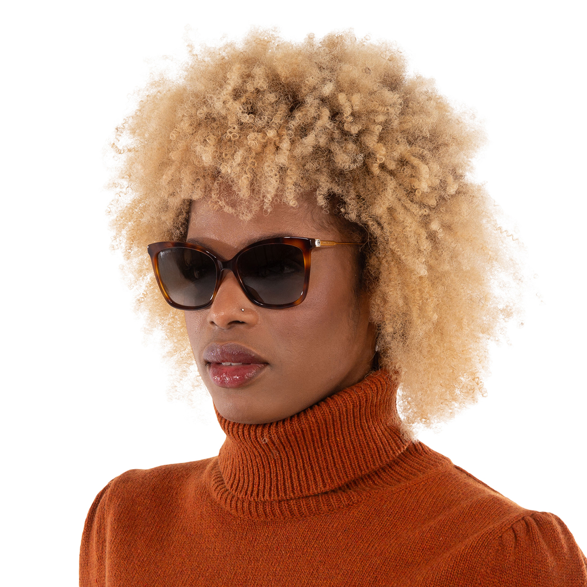 jimmy choo brown gradient butterfly ladies sunglasses maci/s 0086/ha 55 jimmy choo brown gradient butterfly ladies sunglasses maci/s 0086/ha 55