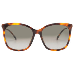 jimmy choo brown gradient butterfly ladies sunglasses nerea/g/s 005l/ha 57
