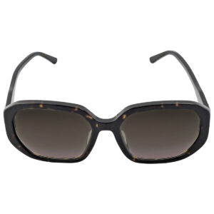 jimmy choo brown gradient square ladies sunglasses karly/f/s 0086/ha 57