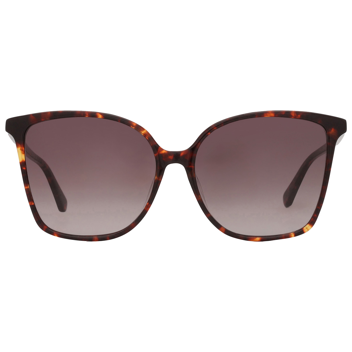 kate spade brown gradient butterfly ladies sunglasses brigitte/f/s 0086/ha 58 kate spade brown gradient butterfly ladies sunglasses brigitte/f/s 0086/ha 58