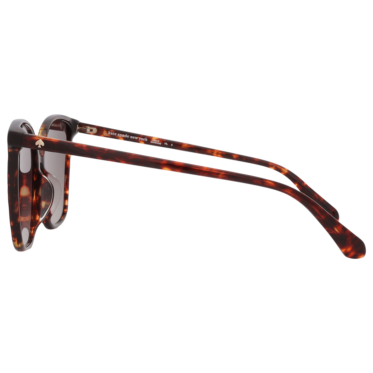 kate spade brown gradient butterfly ladies sunglasses brigitte/f/s 0086/ha 58 kate spade brown gradient butterfly ladies sunglasses brigitte/f/s 0086/ha 58