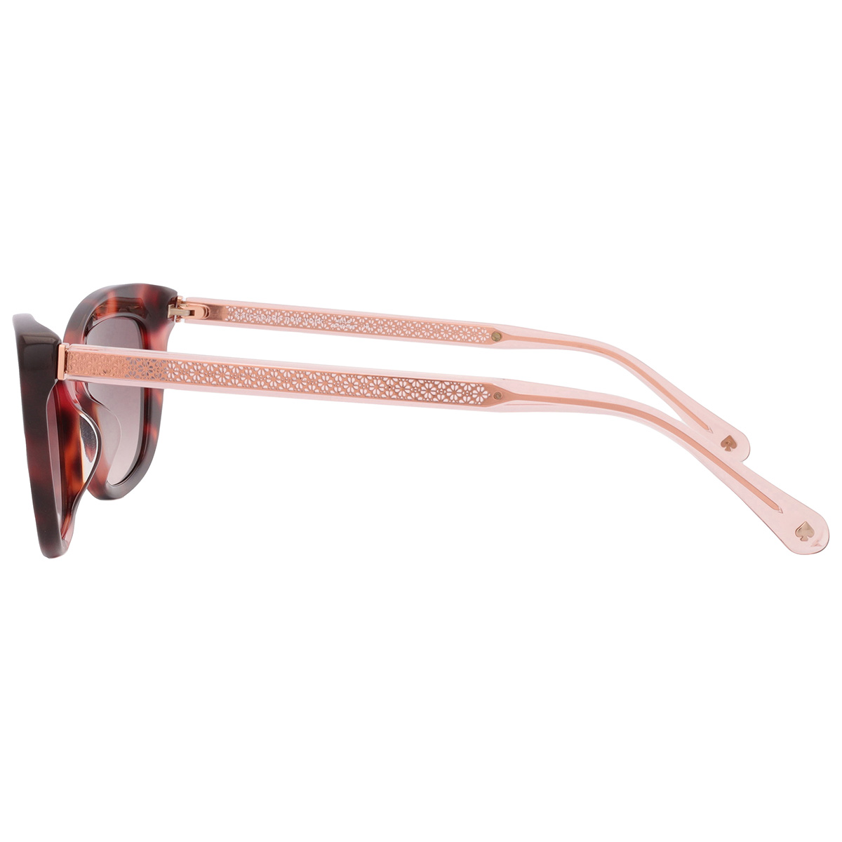 kate spade brown gradient cat eye ladies sunglasses merida/g/s 0086/ha 54 kate spade brown gradient cat eye ladies sunglasses merida/g/s 0086/ha 54