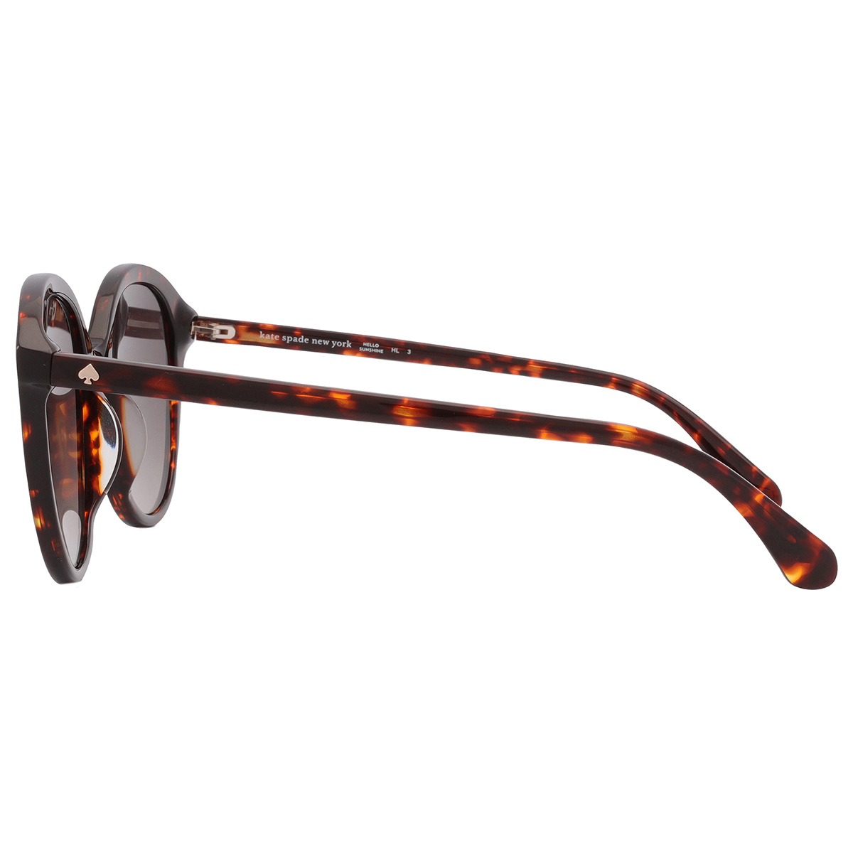 kate spade brown gradient oval ladies sunglasses bria/g/s 0086/ha 55 kate spade brown gradient oval ladies sunglasses bria/g/s 0086/ha 55