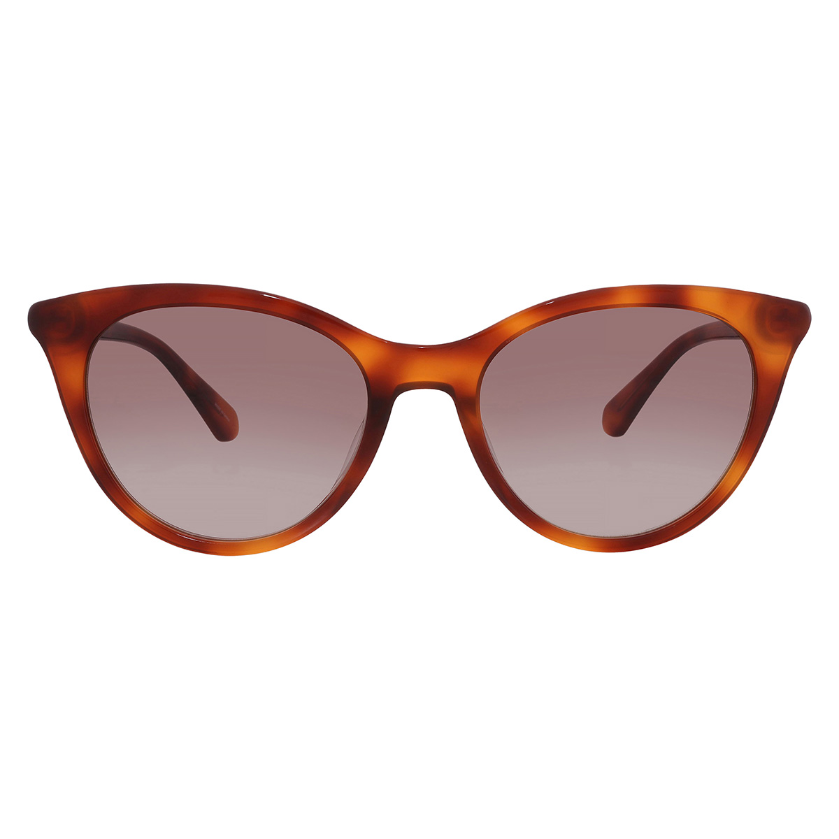 kate spade brown shaded cat eye ladies sunglasses janalynn/s 009q/ha 51 kate spade brown shaded cat eye ladies sunglasses janalynn/s 009q/ha 51