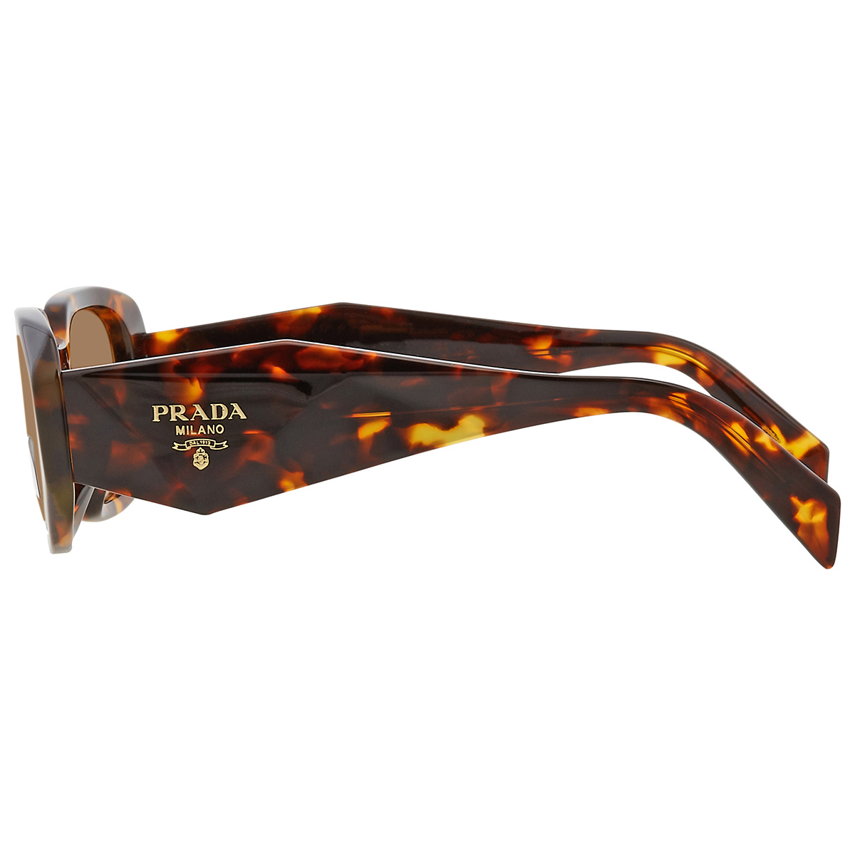 prada dark brown rectangular ladies sunglasses pr 17wsf vau2z1 51 prada dark brown rectangular ladies sunglasses pr 17wsf vau2z1 51