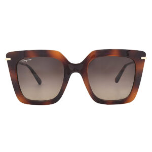 Home ferragamo salvatore ferragamo brown gradient butterfly ladies sunglasses sf1041s 238 51