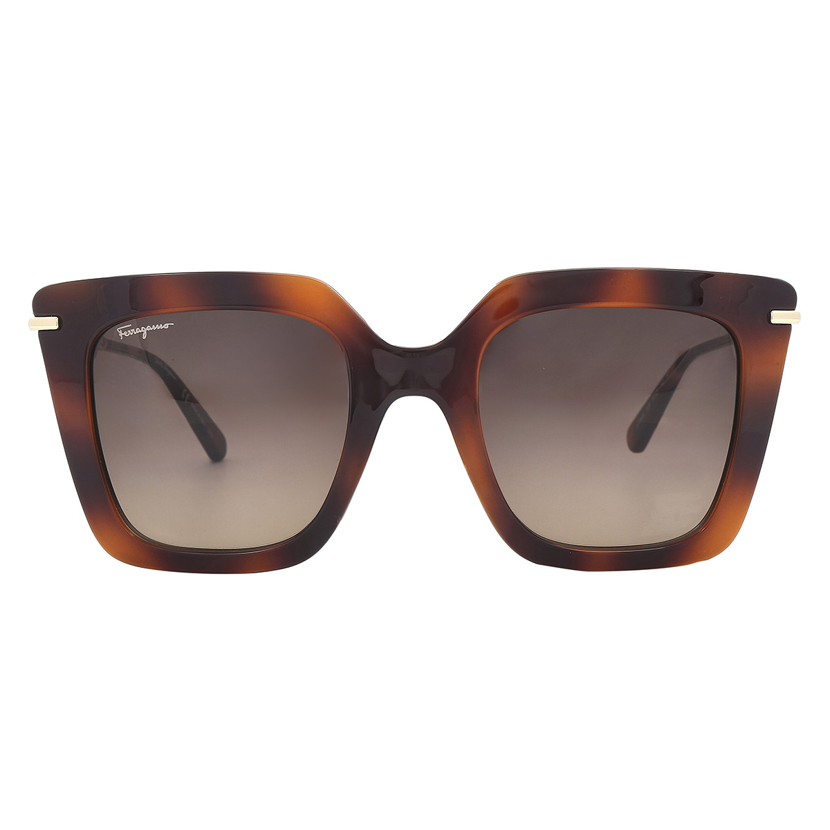 ferragamo salvatore ferragamo brown gradient butterfly ladies sunglasses sf1041s 238 51 ferragamo salvatore ferragamo brown gradient butterfly ladies sunglasses sf1041s 238 51