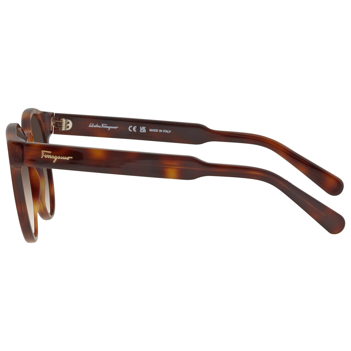 ferragamo salvatore ferragamo brown gradient round ladies sunglasses sf1068s 240 52 ferragamo salvatore ferragamo brown gradient round ladies sunglasses sf1068s 240 52