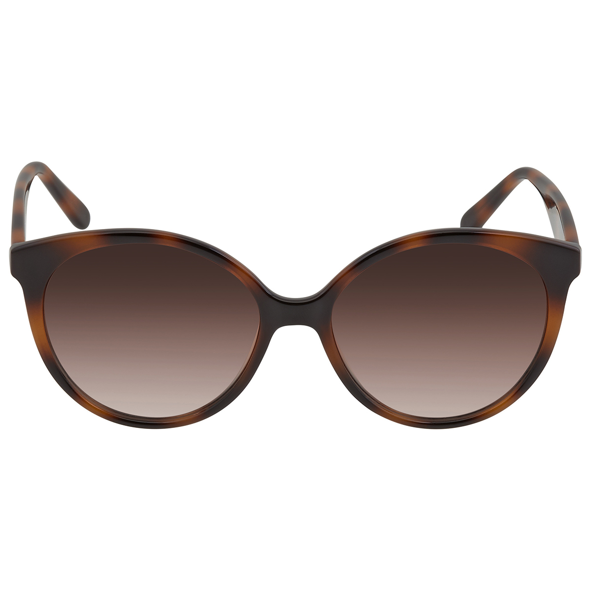 ferragamo salvatore ferragamo brown gradient round ladies sunglasses sf1071s 240 58 ferragamo salvatore ferragamo brown gradient round ladies sunglasses sf1071s 240 58