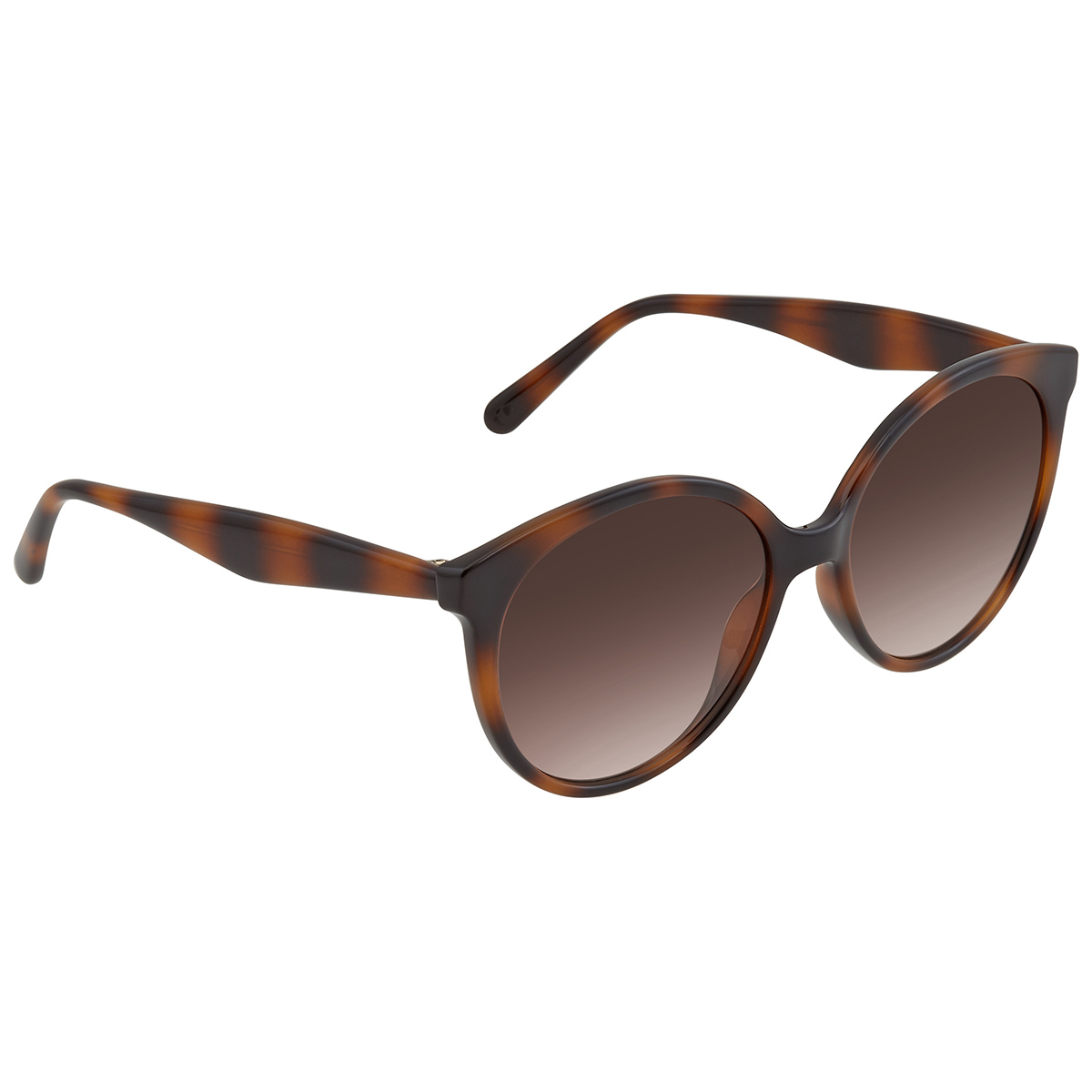 ferragamo salvatore ferragamo brown gradient round ladies sunglasses sf1071s 240 58 ferragamo salvatore ferragamo brown gradient round ladies sunglasses sf1071s 240 58