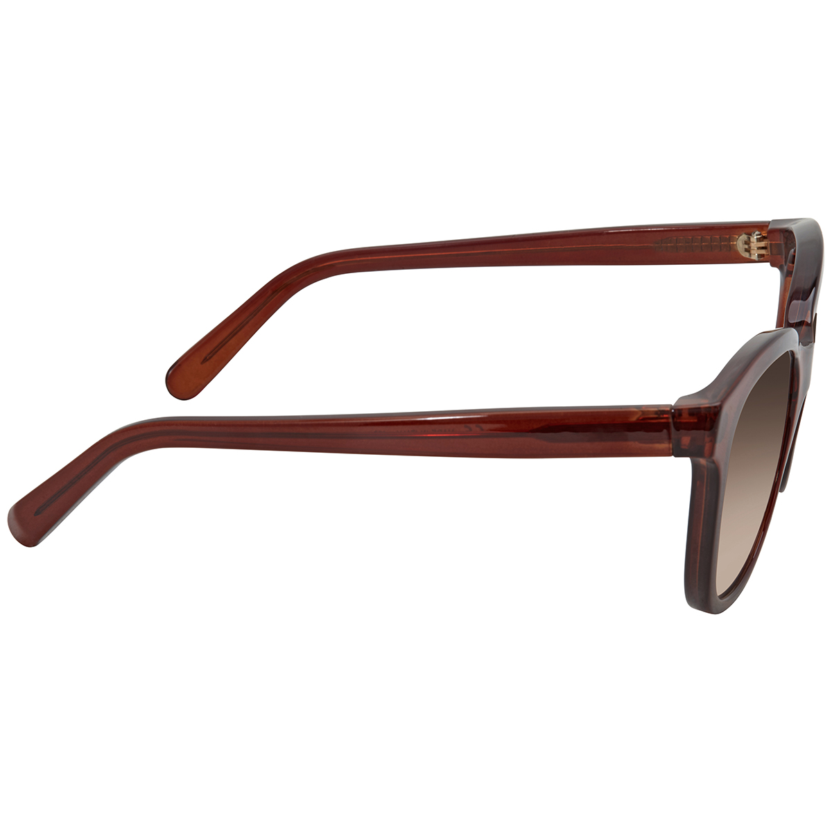 ferragamo salvatore ferragamo brown gradient square ladies sunglasses sf834s 210 55 ferragamo salvatore ferragamo brown gradient square ladies sunglasses sf834s 210 55