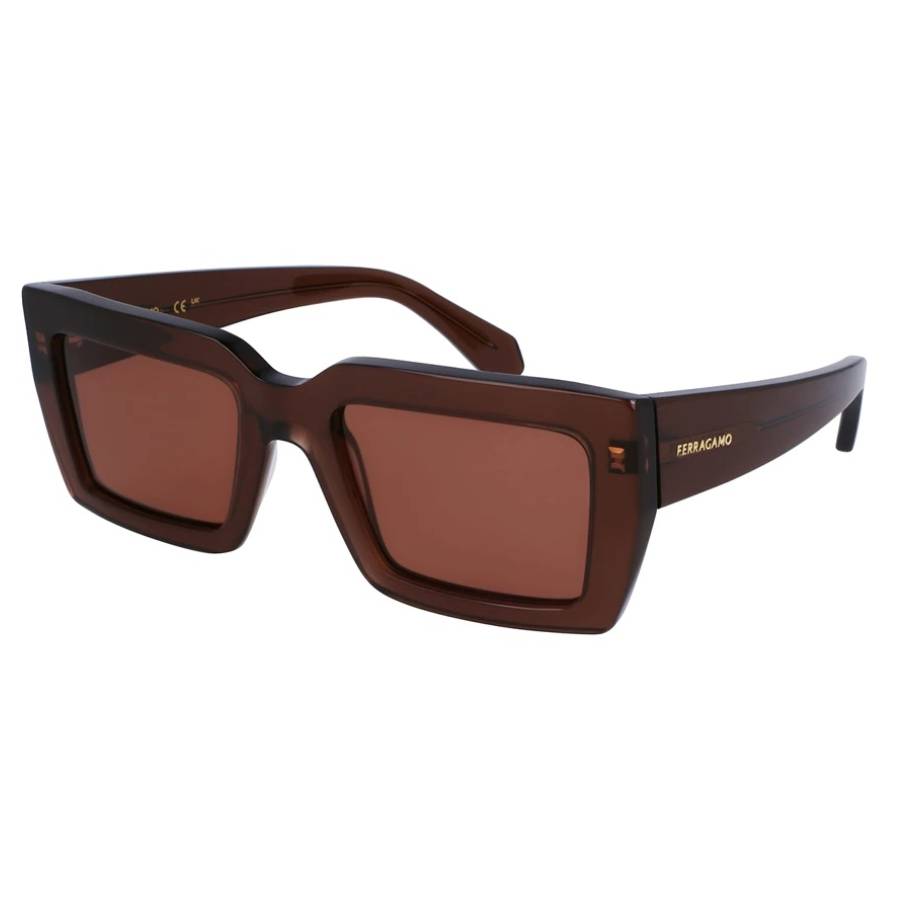 ferragamo salvatore ferragamo brown rectangular ladies sunglasses sf1108s 232 54 ferragamo salvatore ferragamo brown rectangular ladies sunglasses sf1108s 232 54