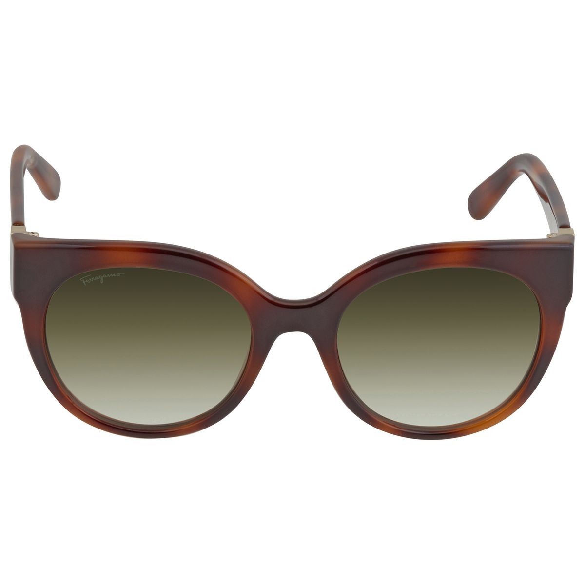 ferragamo salvatore ferragamo green cat eye ladies sunglasses sf1031s 214 53 ferragamo salvatore ferragamo green cat eye ladies sunglasses sf1031s 214 53