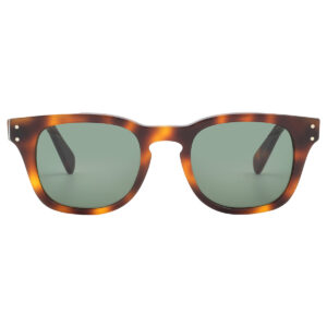 Витрина ferragamo salvatore ferragamo green sport men's sunglasses sf1057s 240 49