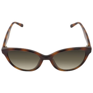 Home ferragamo salvatore ferragamo grey gradient butterfly ladies sunglasses sf1073s 240 54