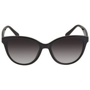 Home ferragamo salvatore ferragamo grey gradient cat eye ladies sunglasses sf1073s 001 54