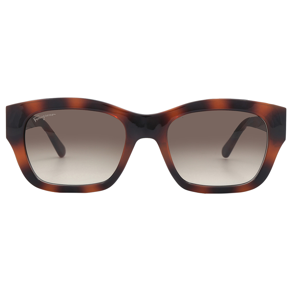 ferragamo salvatore ferragamo grey gradient square ladies sunglasses sf1012s 214 53 ferragamo salvatore ferragamo grey gradient square ladies sunglasses sf1012s 214 53