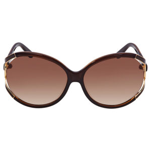 Витрина ferragamo salvatore ferragamo brown gradient round ladies sunglasses sf600s 220 61