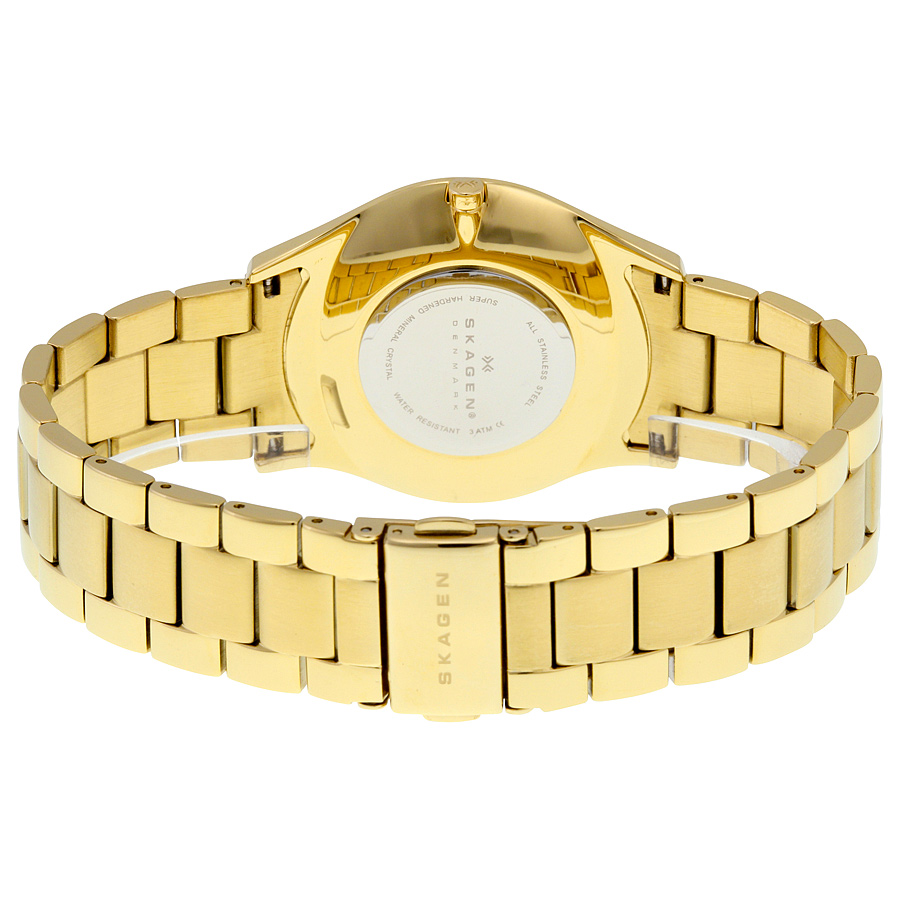 skagen brown dial gold tone ladies watch skw2108 skagen brown dial gold tone ladies watch skw2108