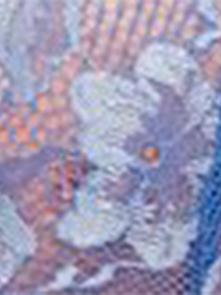 tammy cami + short set tammy cami + short set