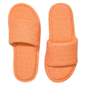 terry slides