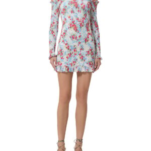 peck dress