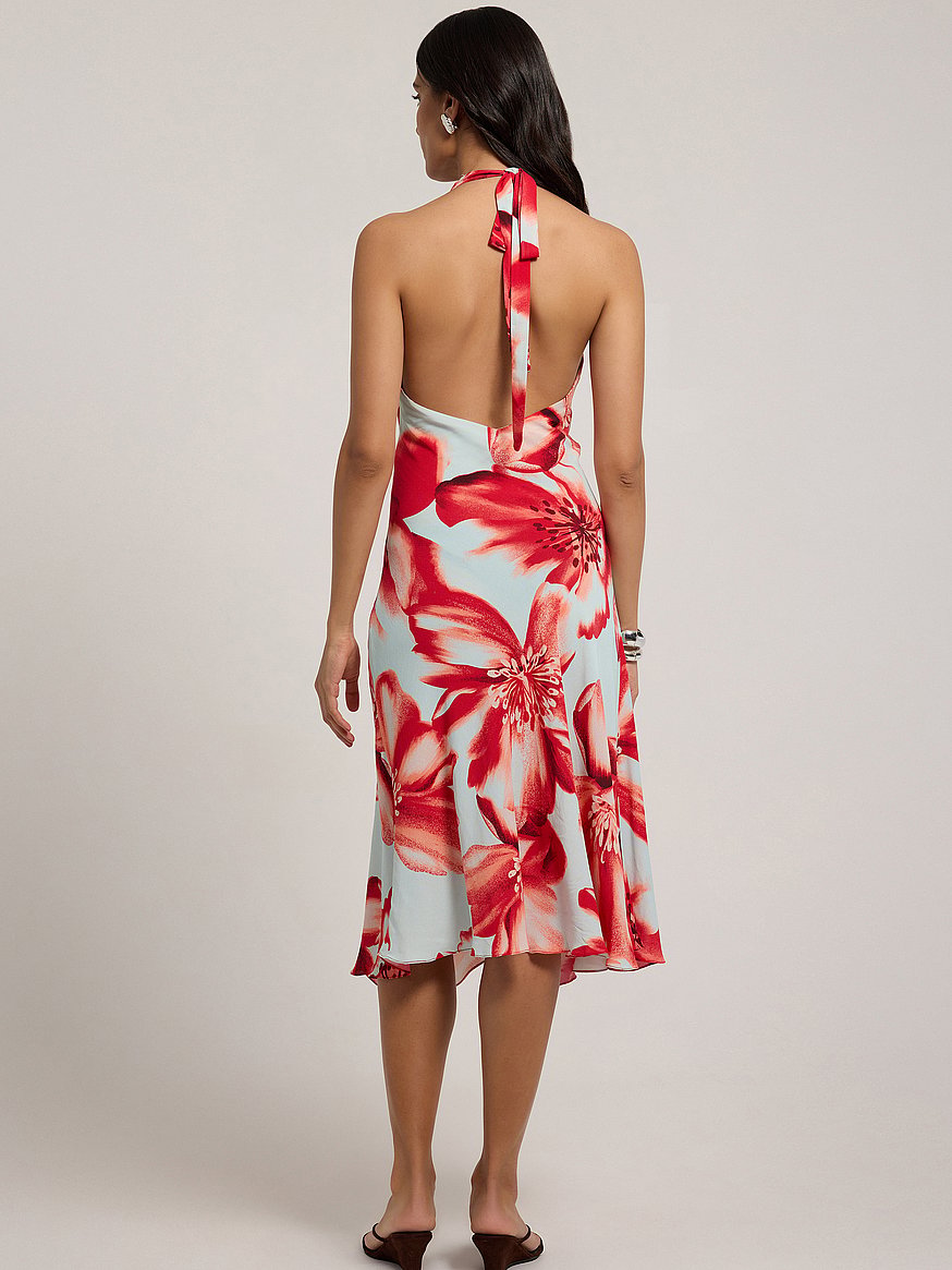 zerina dress zerina dress